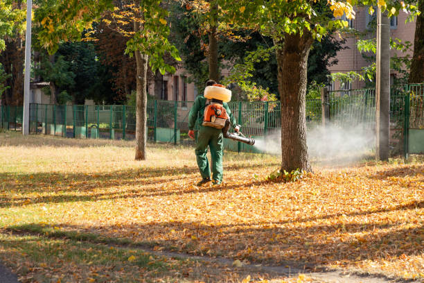 Best Pest Control for Homes  in Odell, OR